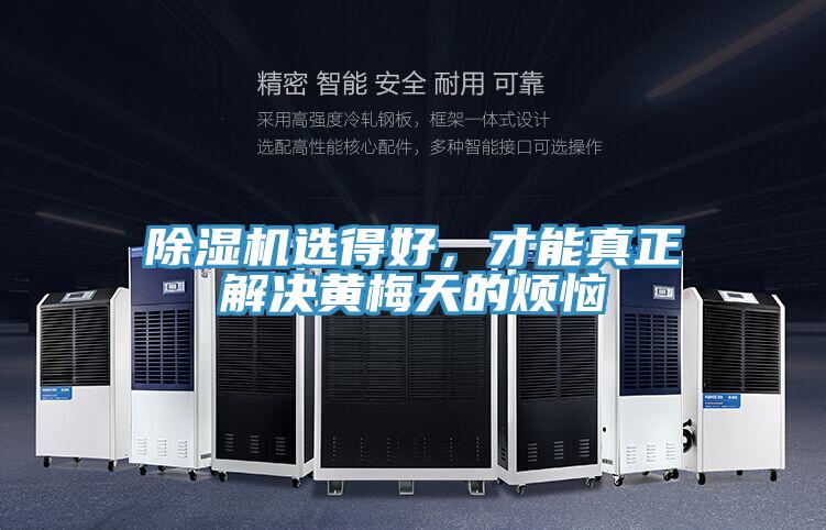 除湿机选得好，才能真正解决黄梅天的烦恼