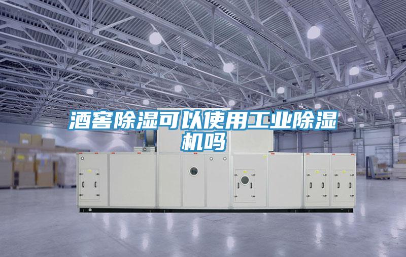 酒窖除湿可以使用工业除湿机吗
