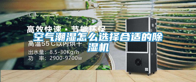 空气潮湿怎么选择合适的除湿机