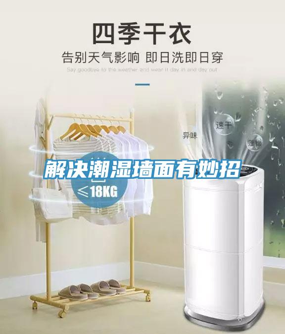 解决潮湿墙面有妙招