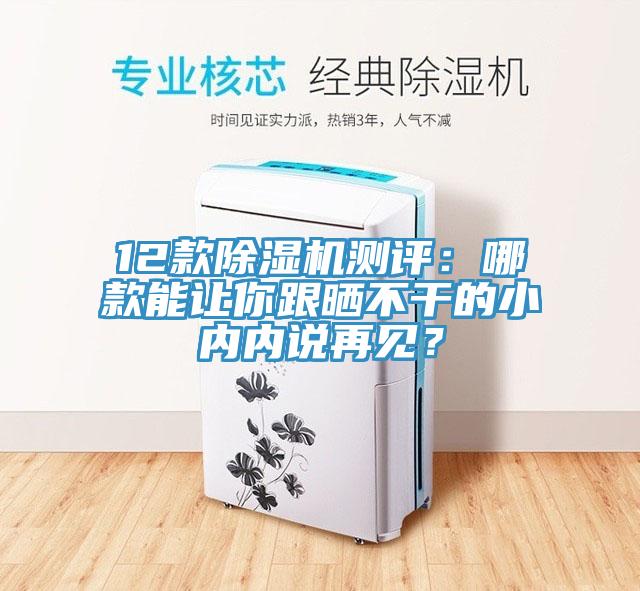 12款除湿机测评：哪款能让你跟晒不干的小内内说再见？