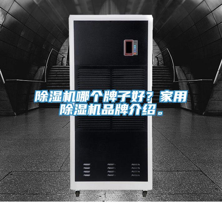 除湿机哪个牌子好？家用除湿机品牌介绍。