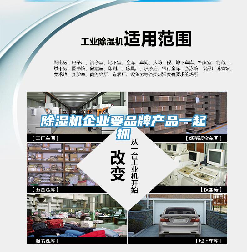 除湿机企业要品牌产品一起抓