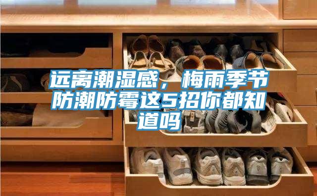 远离潮湿感，梅雨季节防潮防霉这5招你都知道吗