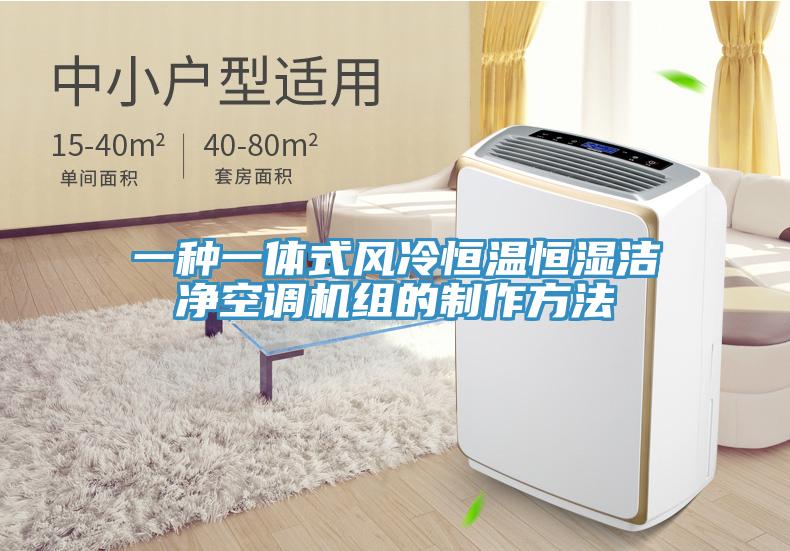 一种一体式风冷恒温恒湿洁净空调机组的制作方法