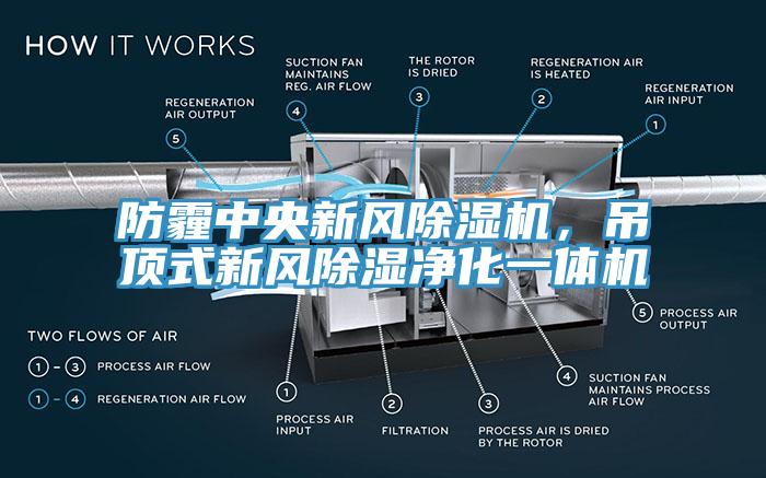 防霾中央新风除湿机，吊顶式新风除湿净化一体机