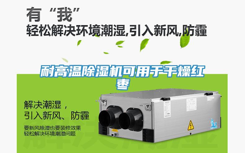 耐高温除湿机可用于干燥红枣
