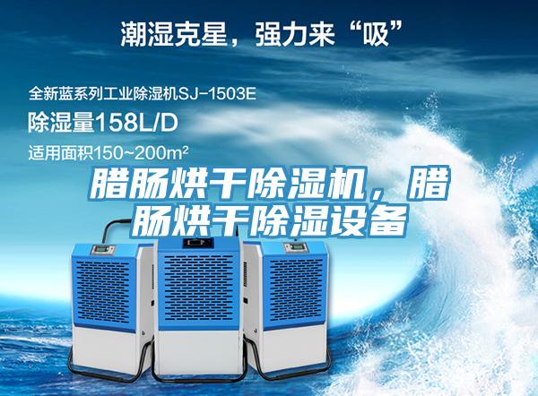 腊肠烘干除湿机，腊肠烘干除湿设备