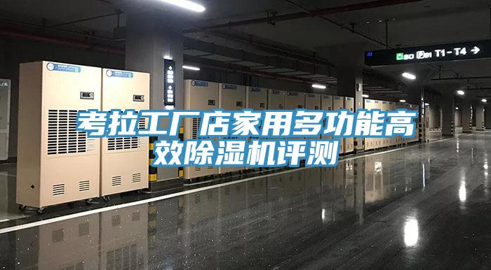 考拉工厂店家用多功能高效除湿机评测