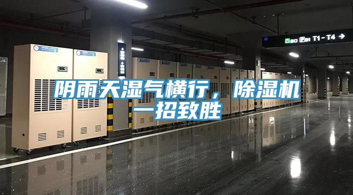 阴雨天湿气横行，除湿机一招致胜