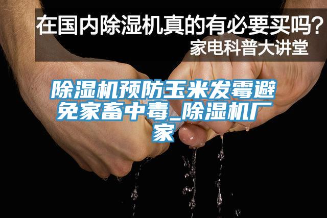 除湿机预防玉米发霉避免家畜中毒_除湿机厂家