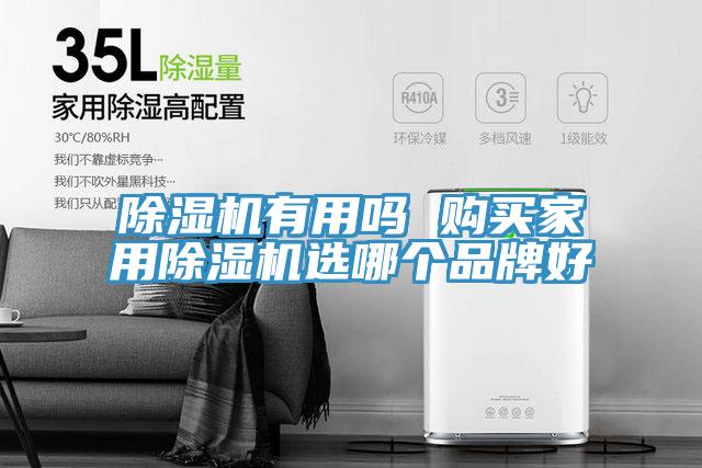 除湿机有用吗 购买家用除湿机选哪个品牌好