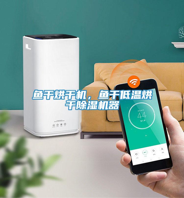 鱼干烘干机，鱼干低温烘干除湿机器