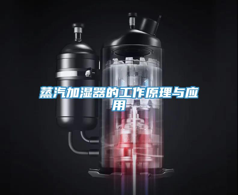 蒸汽加湿器的工作原理与应用