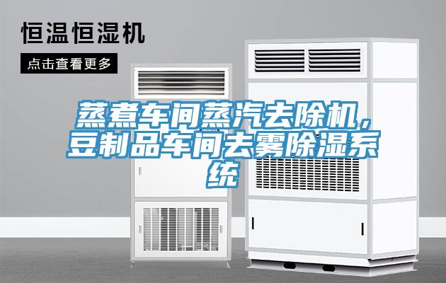 蒸煮车间蒸汽去除机，豆制品车间去雾除湿系统