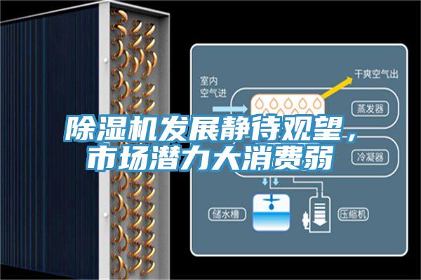 除湿机发展静待观望，市场潜力大消费弱