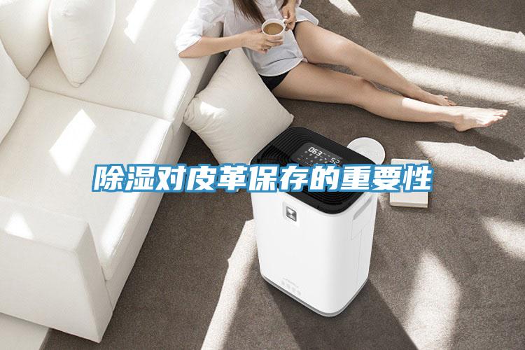 除湿对皮革保存的重要性