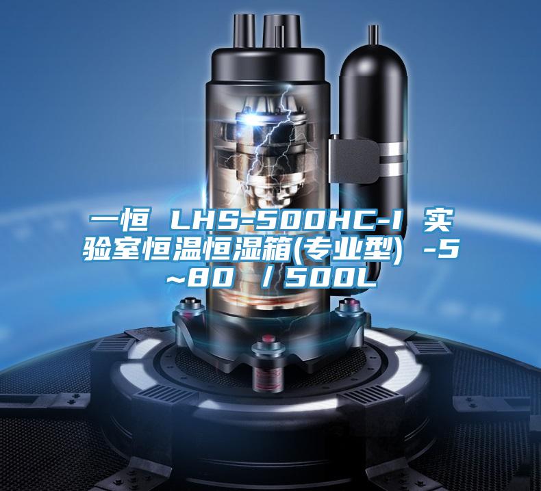 一恒 LHS-500HC-I 实验室恒温恒湿箱(专业型) -5~80℃／500L