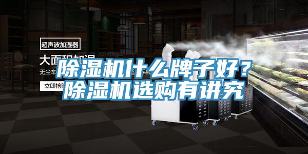 除湿机什么牌子好？除湿机选购有讲究