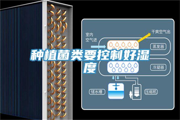 种植菌类要控制好湿度