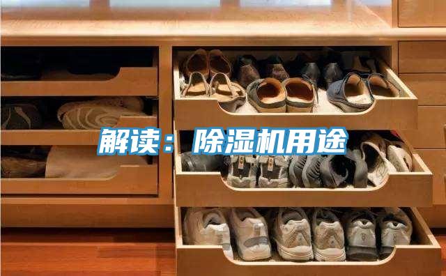 解读：除湿机用途