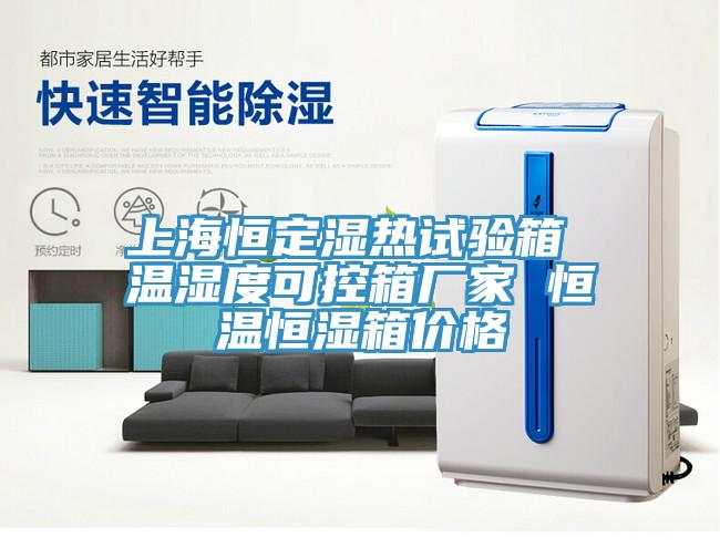 上海恒定湿热试验箱 温湿度可控箱厂家 恒温恒湿箱价格