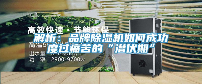 解析：品牌除湿机如何成功度过痛苦的“潜伏期”