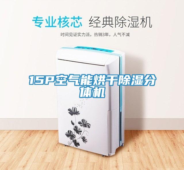 15P空气能烘干除湿分体机