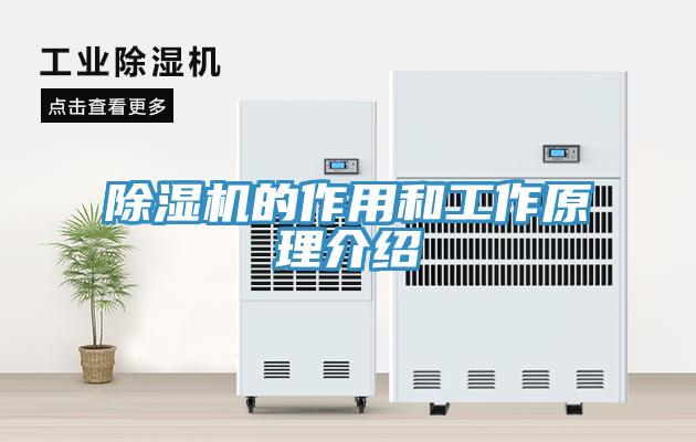 除湿机的作用和工作原理介绍