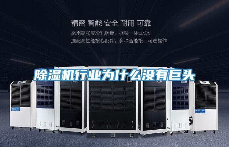 除湿机行业为什么没有巨头