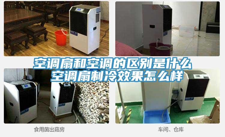 空调扇和空调的区别是什么 空调扇制冷效果怎么样