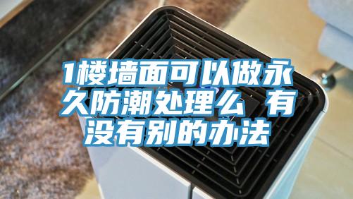1楼墙面可以做永久防潮处理么 有没有别的办法