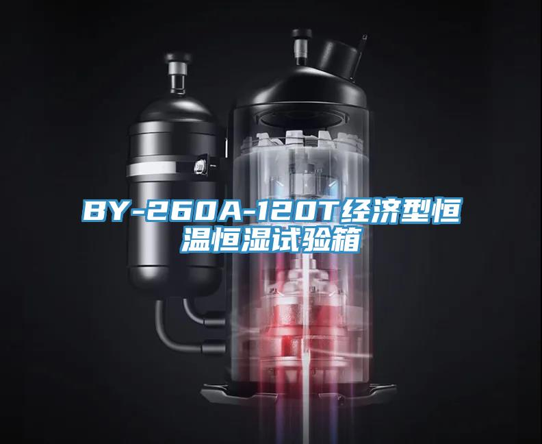 BY-260A-120T经济型恒温恒湿试验箱