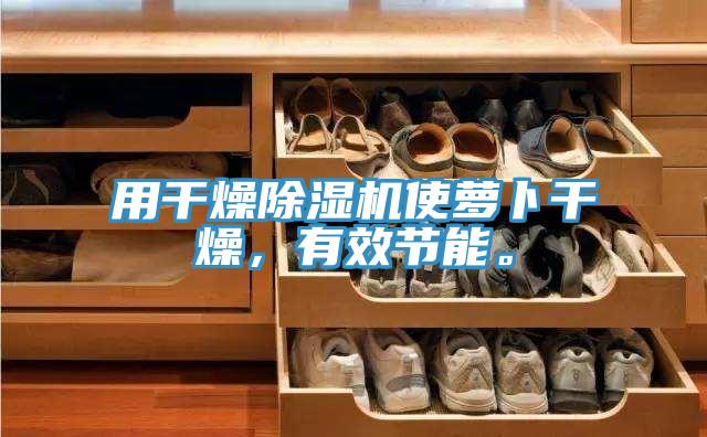 用干燥除湿机使萝卜干燥，有效节能。