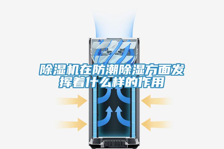 除湿机在防潮除湿方面发挥着什么样的作用