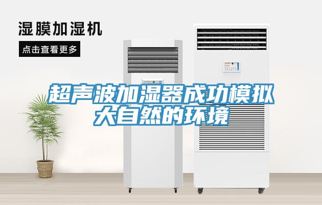 超声波加湿器成功模拟大自然的环境