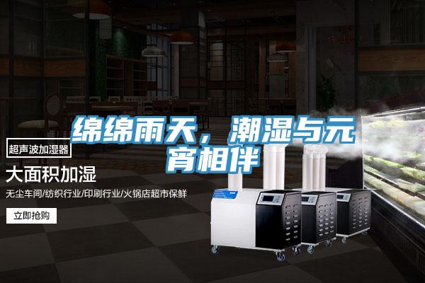 绵绵雨天，潮湿与元宵相伴