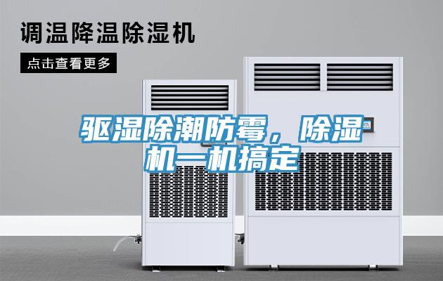 驱湿除潮防霉，除湿机一机搞定