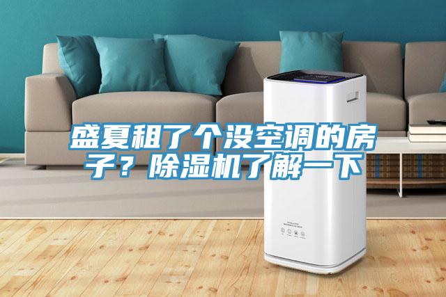 盛夏租了个没空调的房子？除湿机了解一下