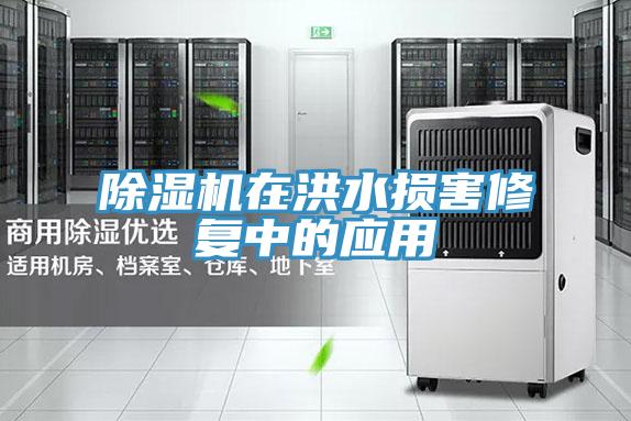 除湿机在洪水损害修复中的应用