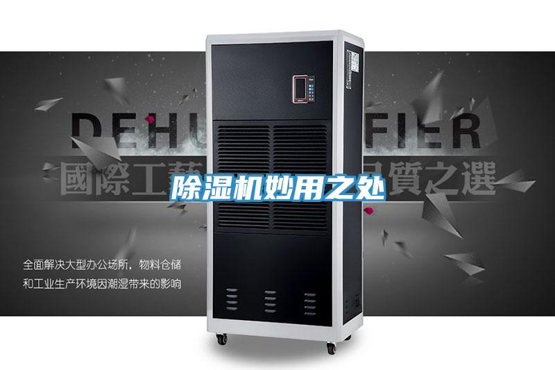 除湿机妙用之处