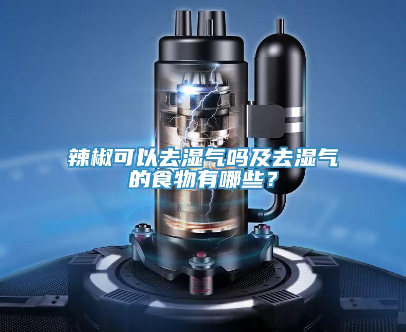 辣椒可以去湿气吗及去湿气的食物有哪些？