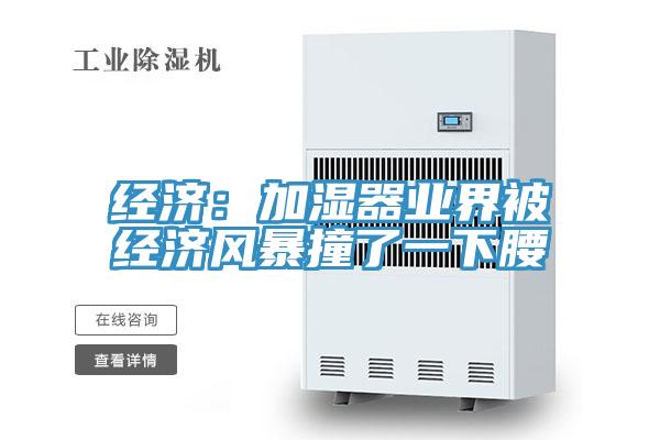 经济：加湿器业界被经济风暴撞了一下腰