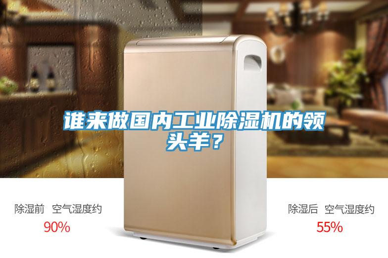 谁来做国内工业除湿机的领头羊？
