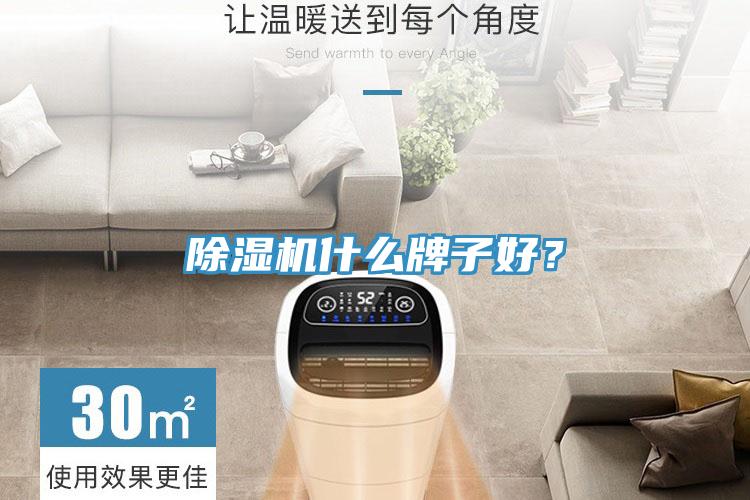 除湿机什么牌子好？