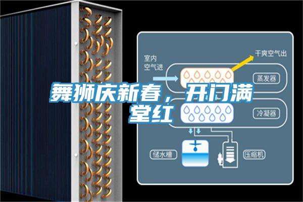 舞狮庆新春，开门满堂红