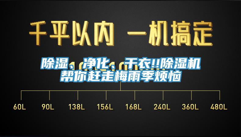 除湿、净化、干衣!!除湿机帮你赶走梅雨季烦恼