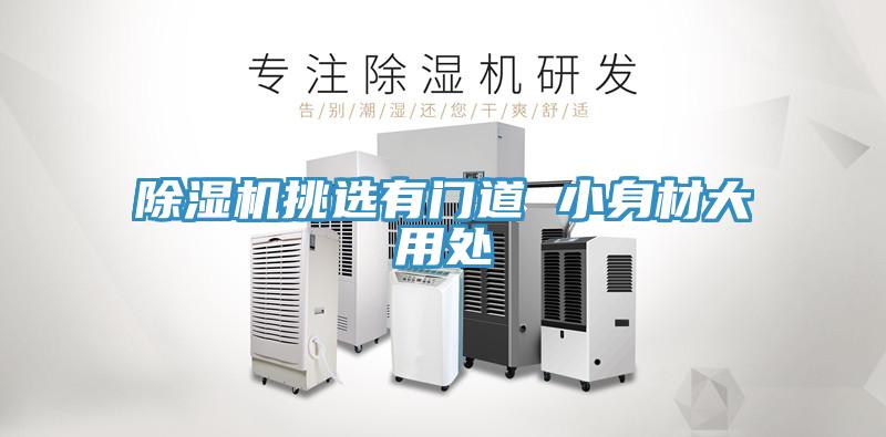 除湿机挑选有门道 小身材大用处