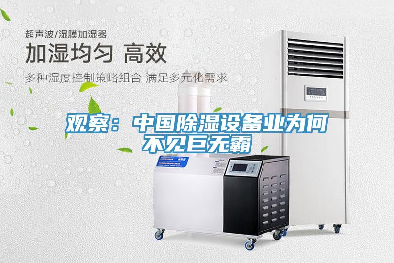 观察：中国除湿设备业为何不见巨无霸