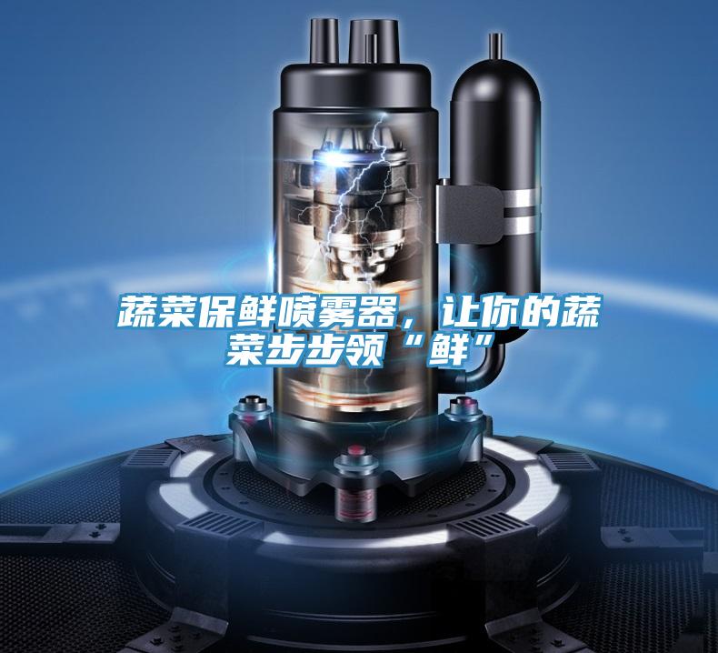 蔬菜保鲜喷雾器，让你的蔬菜步步领“鲜”